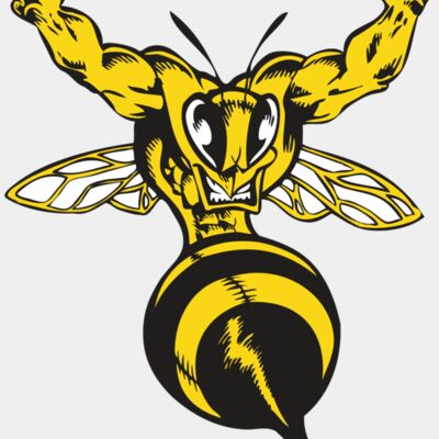 BAW BEE 04 RC Thumbnail