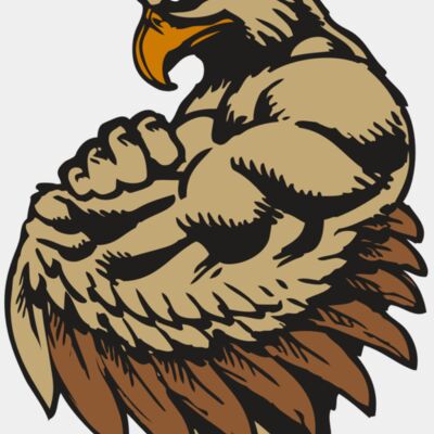 BAW HWK FLCN 02 RC Thumbnail