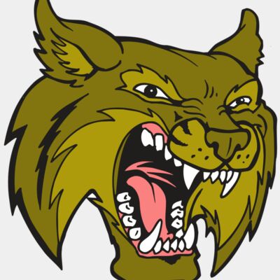 AR5 BOBCAT 20 RQC Thumbnail