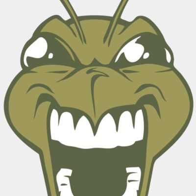 BAW BEE 13 RC Thumbnail