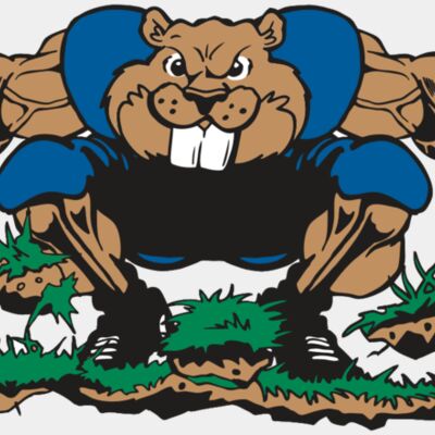 AR14 BEAVER FBLL 04 RQC Thumbnail