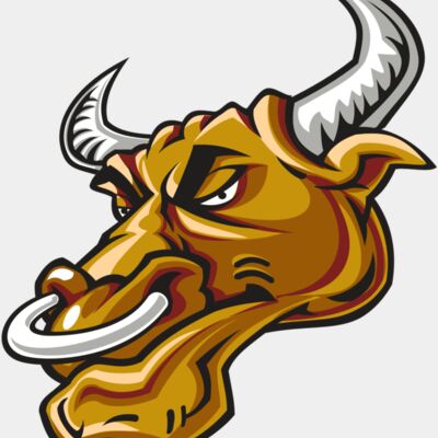 BULL HD0502 RQC Thumbnail