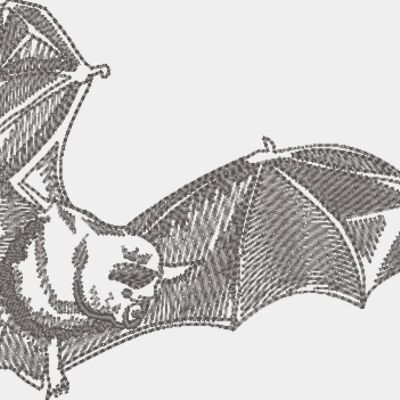 Wm822 Thumbnail