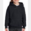 Gildan Youth Hooded Sweatshirt (Same Day) Thumbnail