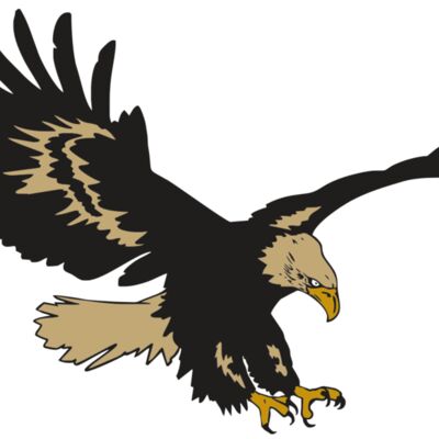 Eagles Thumbnail