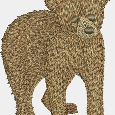 Bears Thumbnail