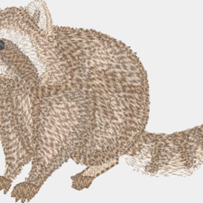 Raccoon Thumbnail